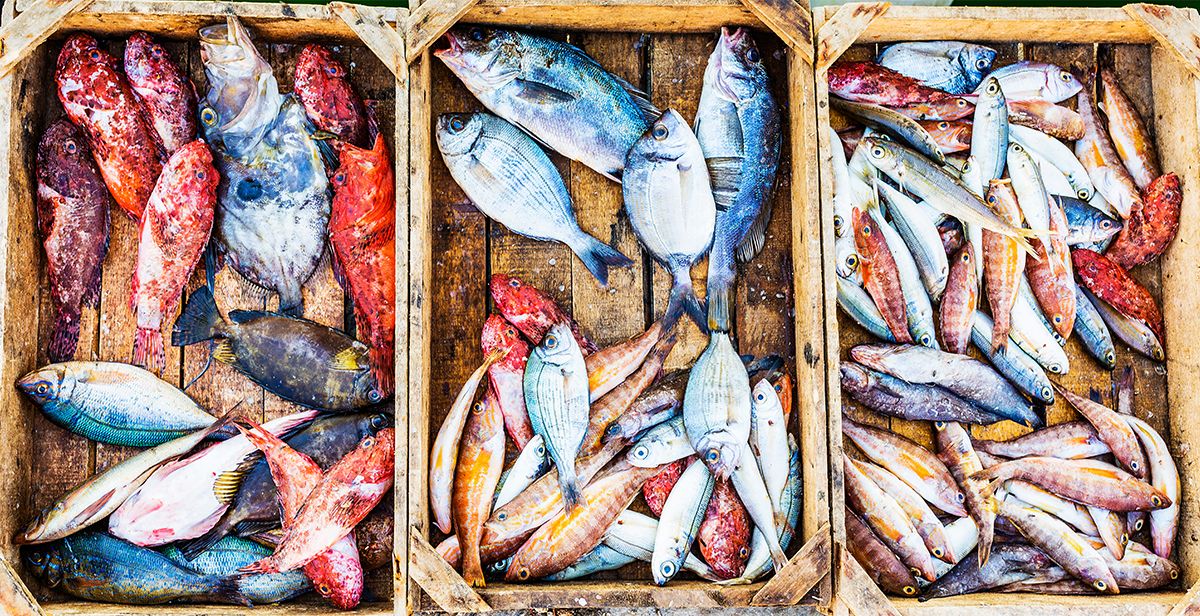 Sustainable foods for those with fish allergies