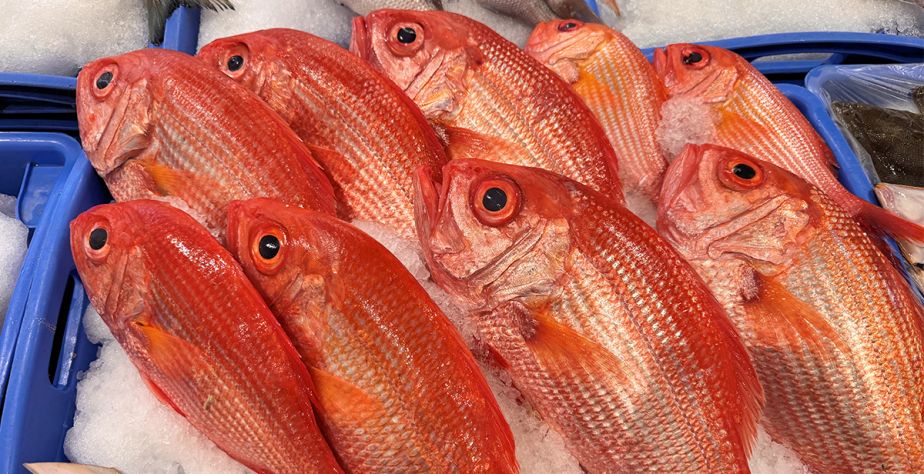 Fish Size Matters