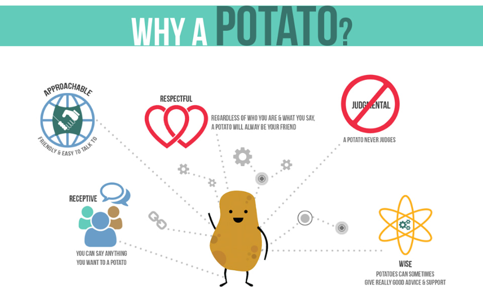 Why a Potato