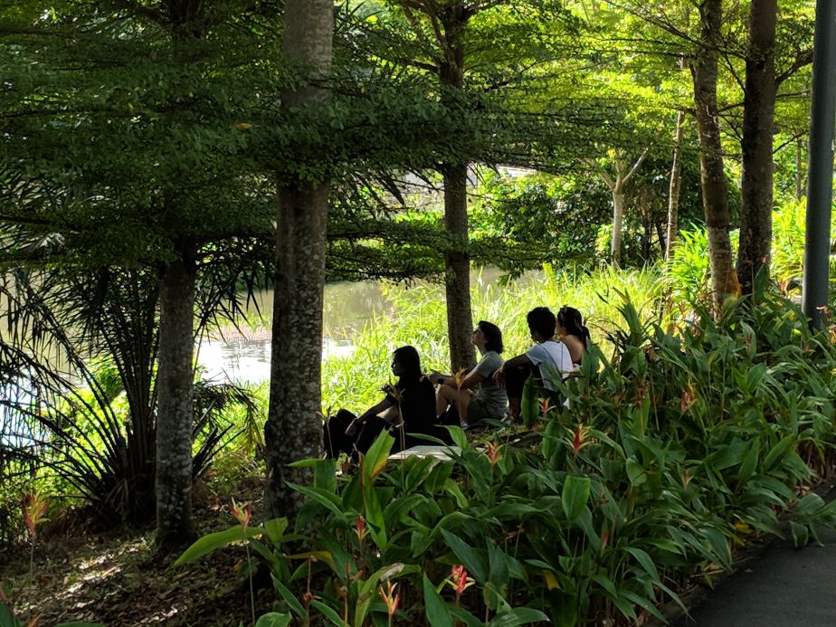 From Green Spaces to Mental Spaces