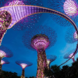 Singapore - Gardens by the Bay