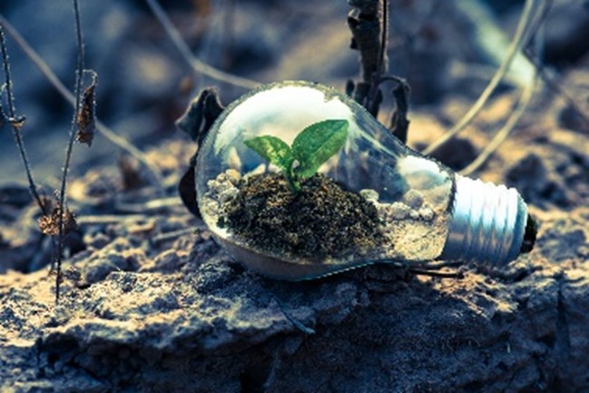 1dec-lightbulb.jpg