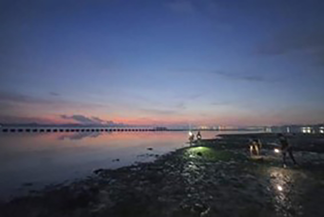 20apr-tidalwalk.jpg