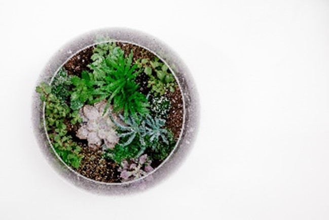 26mar-ecojar.jpg