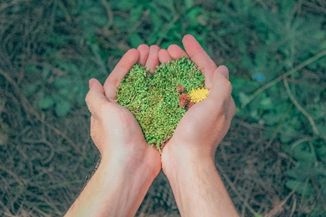 2June-planning sustainable-s