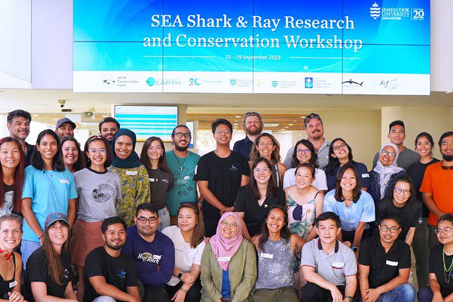 26oct-shark and ray