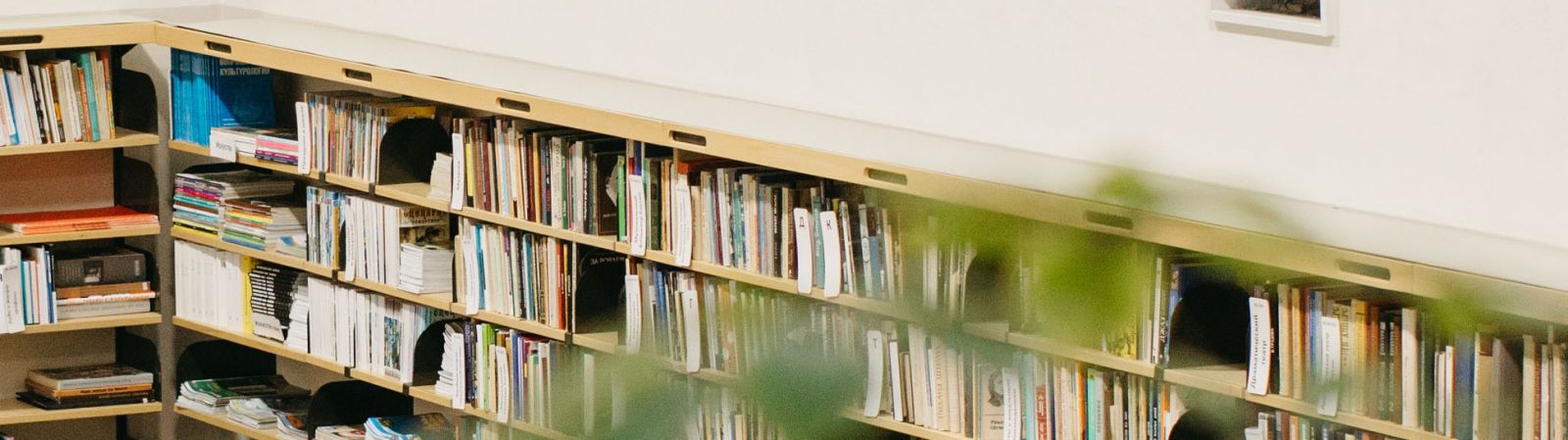  banner image