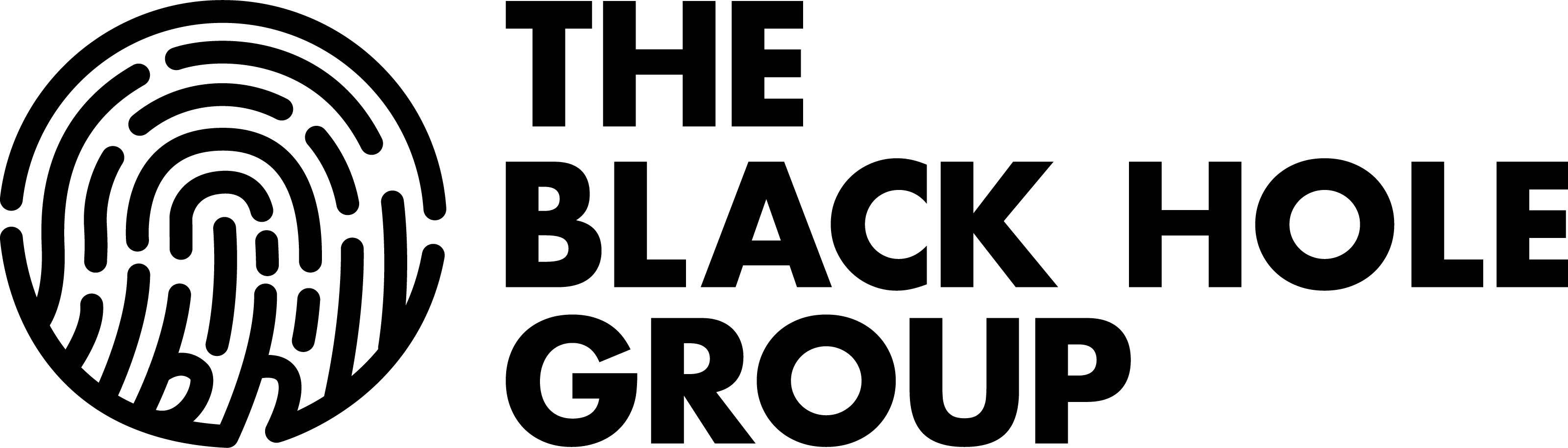 The Black Hole Group